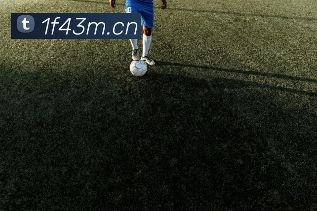 nba免费直播app服务体系